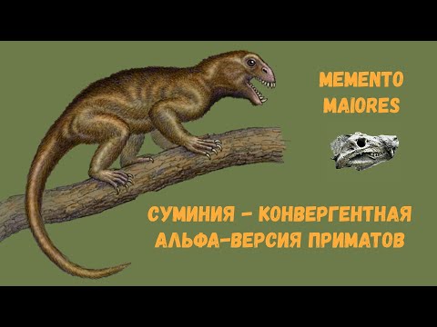 Видео: Суминия - конвергентная альфа-версия приматов