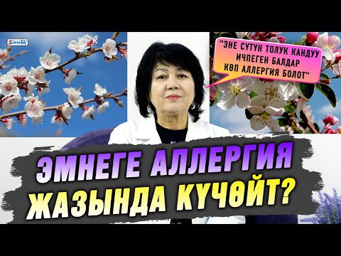 Видео: “Эне сүтүн толук кандуу ичпеген балдар көп аллергия болот” дейт балдар дарыгери