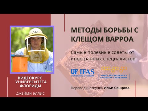 Видео: Методы борьбы с клещом варроа (Университет Флориды)