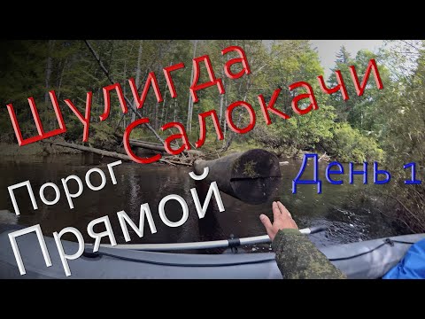 Видео: Вниз по рекам Шулигда   Салокачи Порог Прямой. День 1.