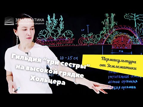 Видео: Та самая "Грядка Хольцера" с начинкой из органики.