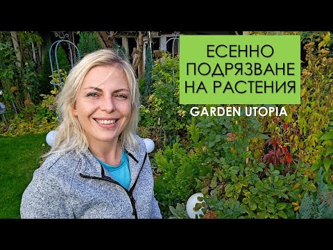 Видео: ЕСЕННО ПОДРЯЗВАНЕ на РОЗИ и ЛАВАНДУЛА