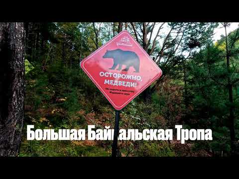 Видео: Большая Байкальская Тропа | Байкал | 4К