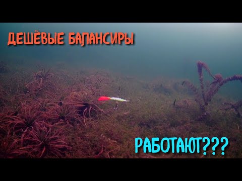 Видео: РАБОТАЮТ или в ТОПКУ!? Дешёвые китайские БАЛАНСИРЫ. Подводное видео