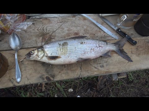 Видео: Якутия  Рыбалка во время строительства зимовья  2