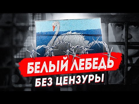 Видео: Белый Лебедь без цензуры: про самую жесткую тюрьму из первых уст | Соликамск
