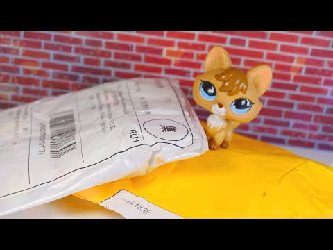 Видео: ОРИГИНАЛЬНЫЕ ПЕТЫ С ALIEXPRESS?!