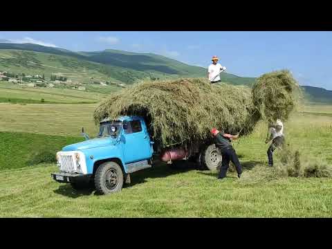 Видео: Лето в горах. Необычная, удивительная красота..