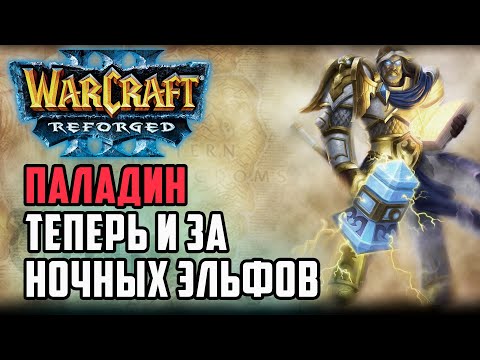 Видео: Паладин теперь и за Ночных Эльфов: Sheik (Ne) vs Cash (Orc) Warcraft 3 Reforged