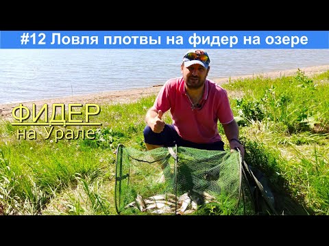 Видео: Ловля плотвы на фидер на озере  Малый Кисегач. Рыбалка в Челябинской области.