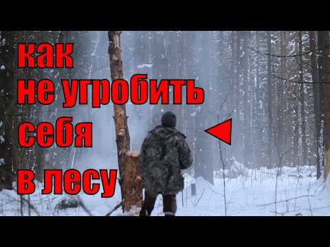 Видео: Главный навык выживания I Стратегическое мышление охотника и безопасность