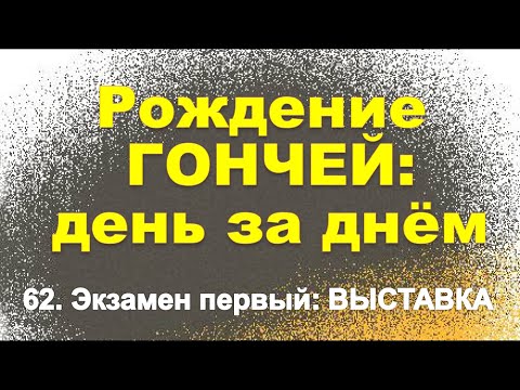 Видео: Сюжет 62.  Экзамен первый: ВЫСТАВКА