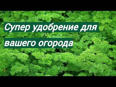 Видео: Как работать с БАРМАТУХОЙ? Как разбавлять с водой и пополнять ингредиентами № 374/24