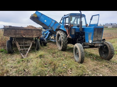 Видео: #УБОРКА КАРТОФЕЛЯ 2022#МТЗ-80 КАРТОФЕЛЕКОПАЛКА Z643/1BolKo#