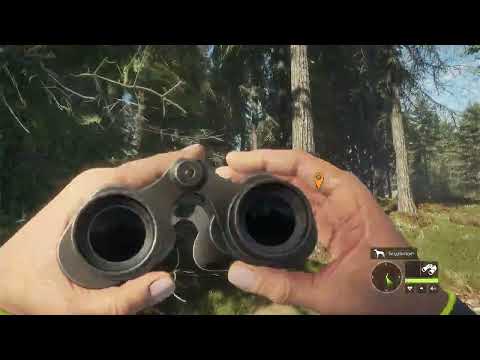 Видео: The Hunter call of the wild часть 12