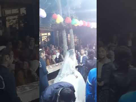 Видео: озбек гава той