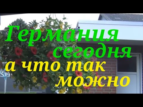 Видео: Германия сегодня. Больничный через страховку