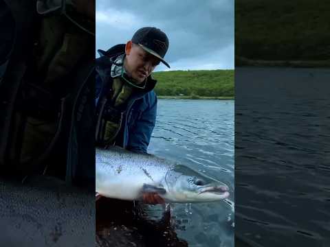 Видео: Ловля СЁМГИ на Йоканьге! #семга #семгарыбалка #нахлыст #flyfishing #кольский #йоканьга #лосось