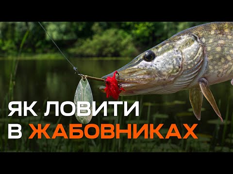 Видео: Як ловити щуку в жабовниках ❓ Найкращі приманки і тактика пошуку 🐟