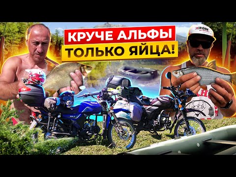 Видео: Едем на Альфах на Рыбалку! Альфа Regulmoto RM-3. Тест кофров.