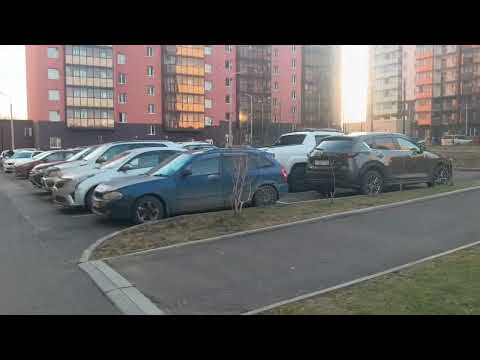 Видео: Прогулка по мкр Солнечный Красноярск 1.11.2025