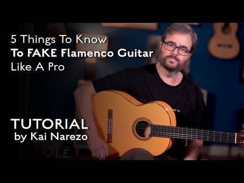 Видео: 5 вещей, которые нужно знать, чтобы имитировать игру на гитаре фламенко как профессионал — Учебно...