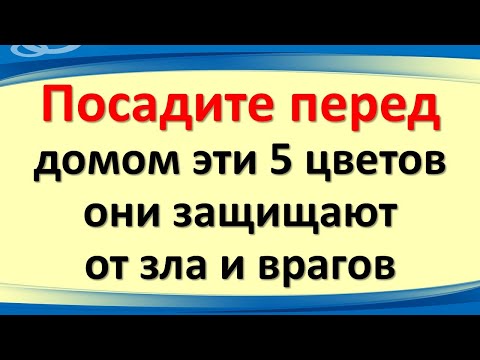Видео: Не пускайте зависть в дом! 5 живых цветов, которые оберегают от зла и порчи