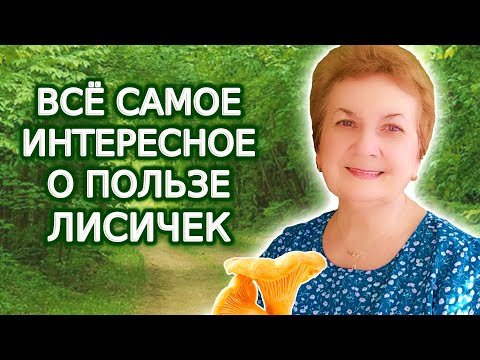 Видео: Всё самое интересное о пользе лисичек