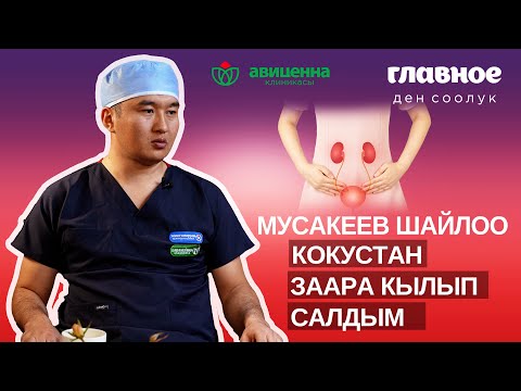 Видео: Эркине баш ийбестен заара кылуу.