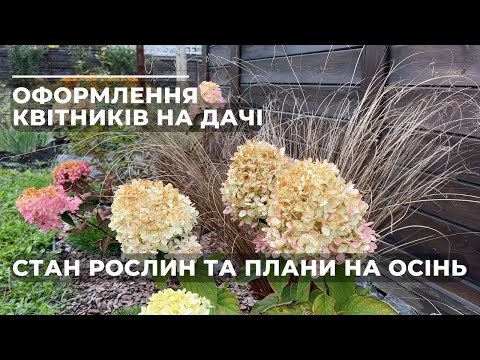 Видео: Оформлення квітників на дачі. Стан рослин та плани на осінь