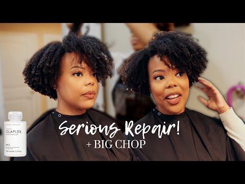 Видео: НОВАЯ СТРИЖКА В ФОРМЕ СЕРДЦА С НАТУРАЛЬНЫМИ ВОЛОСАМИ BIG CHOP JOURNEY 2022 | Натуральное восстано...