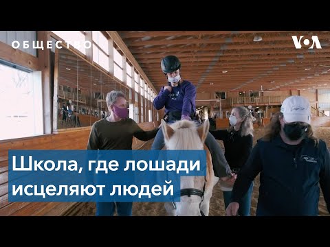 Видео: Иппотерапия для особенных детей и взрослых