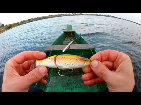 Видео: РИБАЛКА НА СПІННІНГ.ЩУКА І ОКУНЬ НА ВОБЛЕР 2022р.