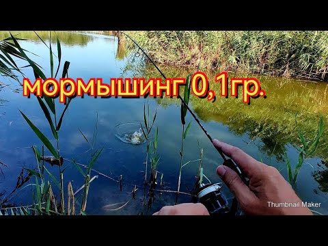 Видео: Мормышинг.Ловлю карася на мормышку.Мотыль работает.