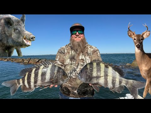Видео: 2 дня охоты и рыбалки в низинах Южной Каролины: Шипсхед, дикие кабаны, олени