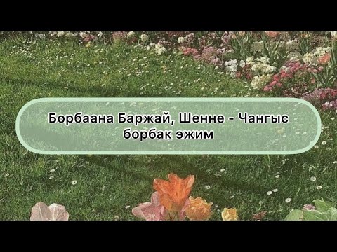 Видео: [Тыва караоке] Борбаана Баржай, Шенне - Чангыс борбак эжим