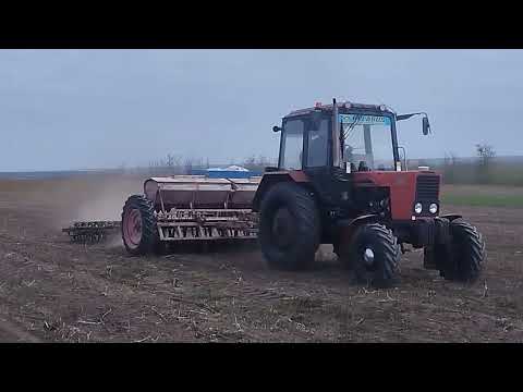 Видео: 19 октября 2025 г.