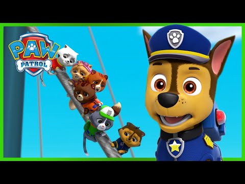 Видео: Кутретата от спасителния отряд спасяват кралските котки - PAW Patrol Bulgarian - карикатури за деца