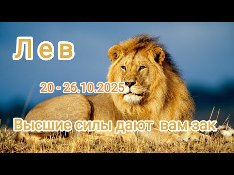 Видео: ЛЕВ✨20 - 26.10.2025✨ Тароскоп 🍁