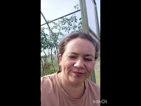 Видео: VLOG: Столько всего и сразу...Активные #выходные 