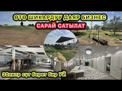 Видео: ЭЛИТНЫЙ САРАЙ САТЫЛАТ БИШКЕК ШААРЫНАН. Жери 1га-дан ашык. ДАЯР СААН УЙЛАРЫ МЕНЕН ЧОГУУ. СӨЗСҮЗ КӨР!
