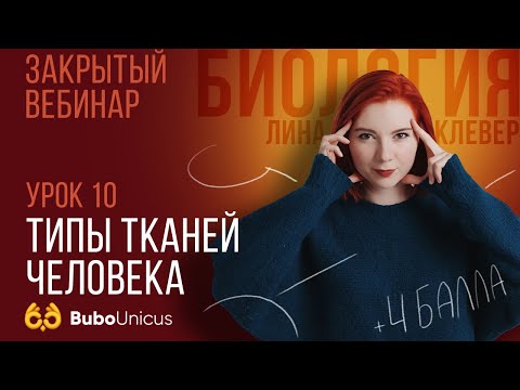 Видео: Типы тканей человека | БИОЛОГИЯ ЕГЭ | Лина Клевер