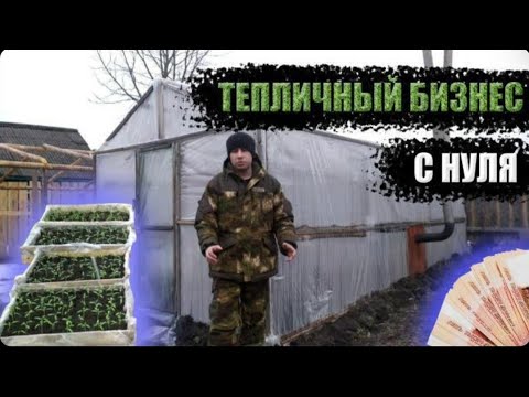 Видео: ТЕПЛИЧНЫЙ БИЗНЕС С НУЛЯ!!! НАЧАЛО. БИЗНЕС НА РАССАДЕ!!!
