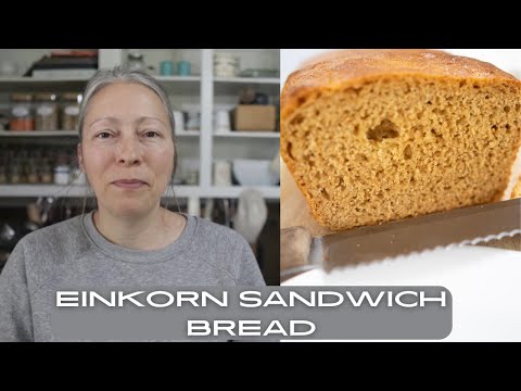 Видео: Как легко и просто приготовить хлеб для сэндвичей из пшеницы однозернянки