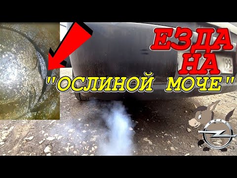 Видео:  Ещё одна причина низкого давления масла. Что будет с двигателем, если в бак  залить "ОСЛИНУЮ МОЧУ"?