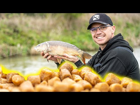 Видео: Ловля карпа на удочку на острова!