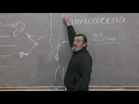 Видео: 4 Бинокулярное зрение