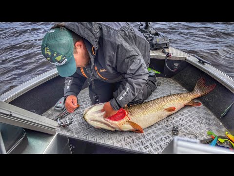 Видео: Рыбалка в Сургуте. Приехал ловить огромных щук в ХМАО!  🎣Рыбалка на реке Обь с гидом. Часть 2