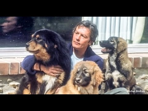 Видео: "Я умру, не поняв женщин. Лучше всего—жить  рядом с ними, а не вместе. Самые близкие люди - собаки"