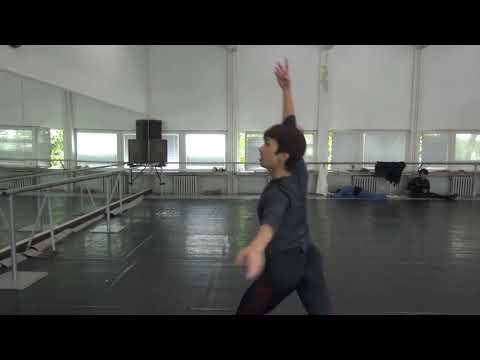 Видео: ИНТЕРВЮ НА ДИАНА ДИМИТРОВА С ЮДЖИ ШИМИЦУ.